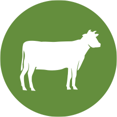 pasture-raised beef