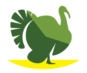 turkey icon in JENNIE-O® brand colors