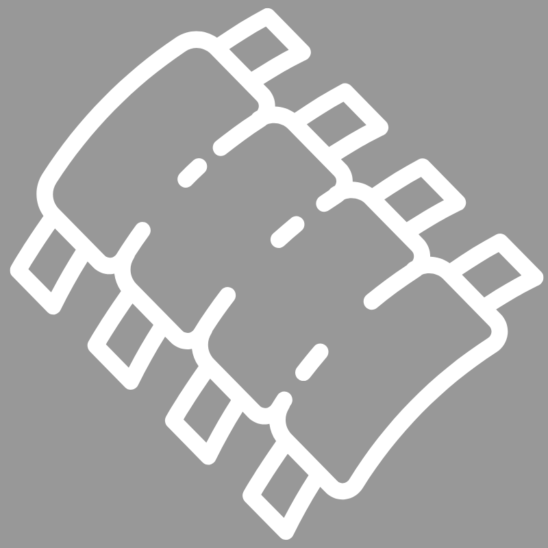 Ribs icon